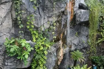 The waterfall