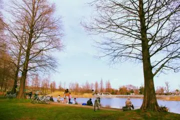 There really is a lot of space here