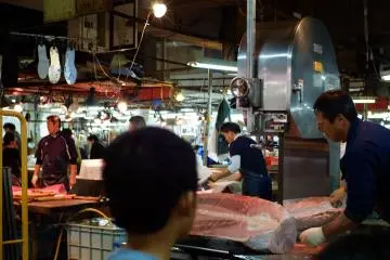 Cutting the tuna at Adachi Market (Photo: <a href="https://www.flickr.com/photos/geminigst/30630465610/in/photolist-ExgQtH-ExpFVp-Exdtfg-P5fQyb-NX3koQ-P8s2Ra-NZszBZ-NX3LZE-Exbd36-NZshmB-NX61U9-ExbNhi-AEypDY-NEH9h3-NX1RJo-NWUj1W-AEQ2zL-NENv7Q-ExqNr8-NEx6Tf/" target="_blank" rel="noreferrer noopener nofollow">SAGA Gem</a> / <a href="https://creativecommons.org/licenses/by/2.0/" target="_blank" rel="noreferrer noopener nofollow">CC BY 2.0</a>)