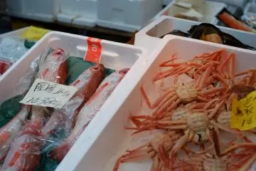 Some of the seafood on offer at Adachi Market (Photo: <a href="https://www.flickr.com/photos/geminigst/30895472706/in/photostream/" target="_blank" rel="noreferrer noopener nofollow">SAGA Gem</a> / <a href="https://creativecommons.org/licenses/by/2.0/" target="_blank" rel="noreferrer noopener nofollow">CC BY 2.0</a>)