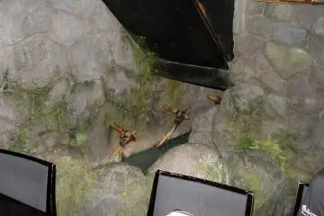 Some of the private dining booths have fountains, treasure, or other secrets!
