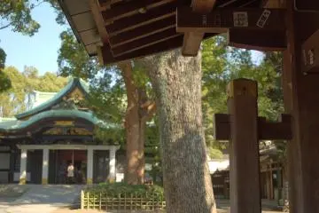 Wood, wood.... shrines and wood