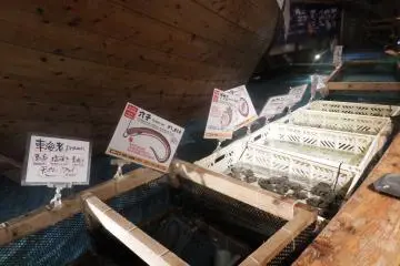 So many types of seafood to enjoy