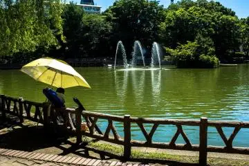 The adorably peaceful pond at Mitsugi Park