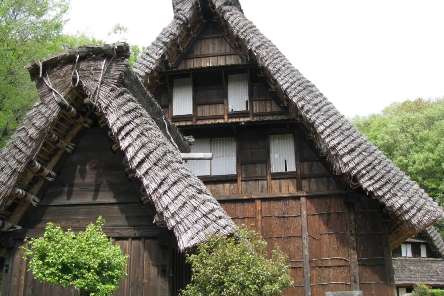 The houses from Shirakawa-go
