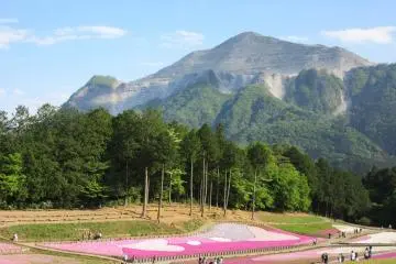 Hitsujiyama means 'sheep mountain'