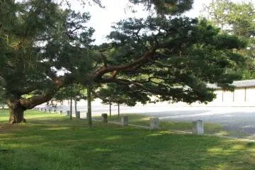 Looking for a place to rest