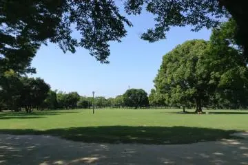 The park along the parking lot is evidence to why Kumamoto is also known as the City of Trees. What is now a park was once the inside of the castle's several layers of outer walls.