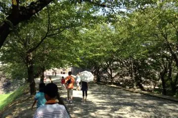 A shady path leads to the admission entrance. Enjoy the rest because this place is HUGE. Bring shoes you can walk easily in.