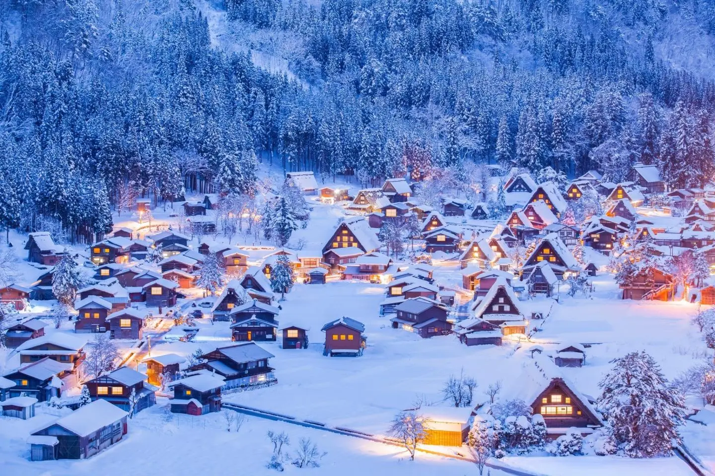 Photo: Sakarin Sawasdinaka / Shutterstock.com