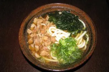 That udon was delicious!