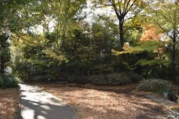 The trees of the Mejiro no Mori
