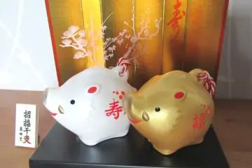 Boar - Inoshishi