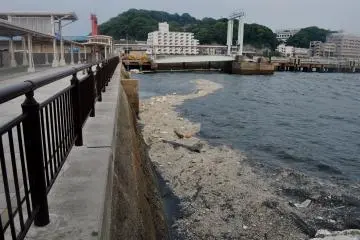 L'eau dans cet endroit est un peu sale comme on peut le voir ici