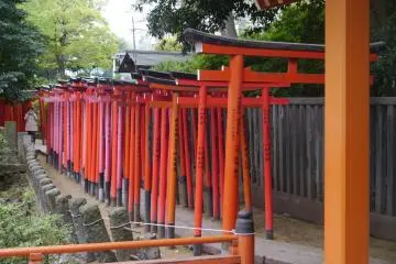 Nezu Shrine's famous red torii gates