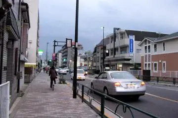 On the way to Koganei Park