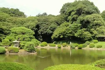 Shinjuku Gyoen National Garden (Photo: <a href="https://commons.wikimedia.org/wiki/File:Shinjuku_Gyoen_National_Garden_-_DSC05100.JPG" target="_blank" rel="noreferrer noopener nofollow">Daderot</a> / Public Domain)