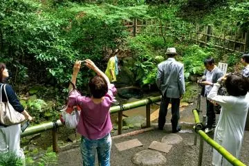 Picturesque location for photos