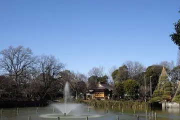 The pond of Himonya Park (Photo: <a href="https://commons.m.wikimedia.org/wiki/File:%E7%9B%AE%E9%BB%92%E5%8C%BA%E7%AB%8B%E7%A2%91%E6%96%87%E8%B0%B7%E5%85%AC%E5%9C%92_-_panoramio.jpg" target="_blank" rel="noreferrer noopener nofollow">koji_h</a>)