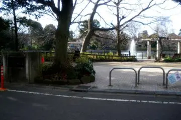 The park's fountain in the background