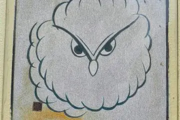 Owl or cloud?