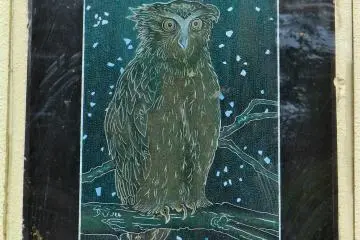 Old grandpa owl.