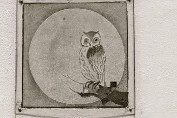 Sentimental owl.