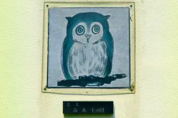 Timid owl.
