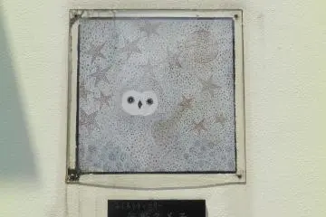 Camouflage owl?