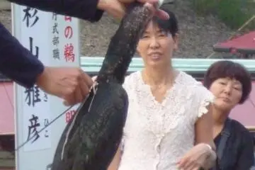 Cormorant on the Kiso (Photo: PPF)