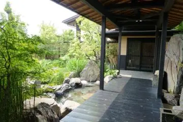 A view of the garden