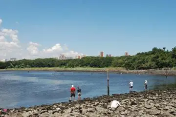 A spot of fishing to be had at the park (Photo: <a href="https://commons.wikimedia.org/wiki/File:%E5%A4%A7%E4%BA%95%E3%81%B5%E9%A0%AD%E6%B5%B7%E6%B5%9C%E4%B8%AD%E5%A4%AE%E5%85%AC%E5%9C%92%E3%81%AA%E3%81%8E%E3%81%95%E3%81%AE%E6%A3%AE%E3%81%AF%E3%81%9C%E3%81%A4%E3%81%8D%E7%A3%AF.JPG" target="_blank" rel="noreferrer noopener nofollow">バーベキューレンタルのゴードン / CC BY-SA 3.0</a> / <a href="https://creativecommons.org/licenses/by-sa/3.0/deed.en" target="_blank" rel="noreferrer noopener nofollow">CC BY-SA 3.0</a>)