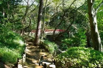 Tamagawadai Park