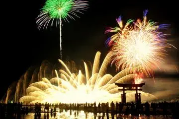 Tori silhouette against the fireworks
