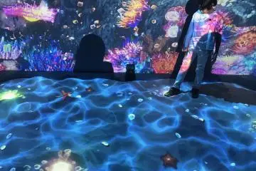 Play in the sandbox and find the different marine animals