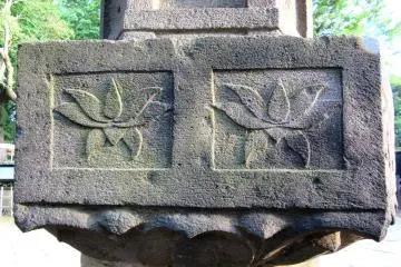 Hasu in Ueno shrine