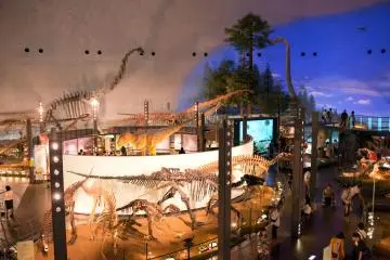 Salle principale de l'exposition - Musée des Dinosaures de la Préfecture de Fukui.