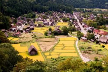 Shirakawa-go depuis une colline.