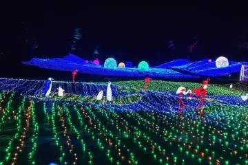 Beautiful lights