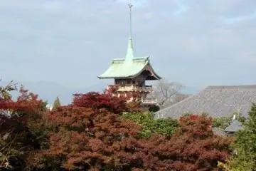 高台寺的枯山水