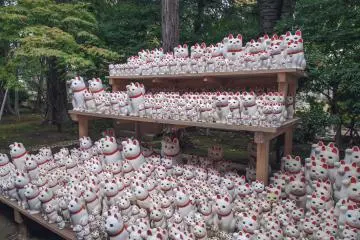 Maneko cats in Setagaya City, west Tokyo