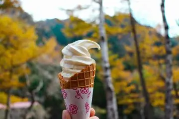 ระหว่างทางเดินมีร้านขายไอศรีม