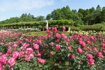 Jindai Botanical Gardens, Chofu City