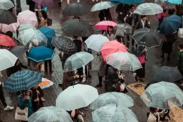 Guide to Typhoons in Japan