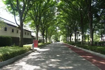 Kyodo no Mori Museum, Fuchu City (Photo: <a href="https://ja.wikipedia.org/wiki/%E3%83%95%E3%82%A1%E3%82%A4%E3%83%AB:Avenue_in_Kyodo_no_Mori_Museum.JPG" target="_blank" rel="noreferrer noopener nofollow">Dddeco</a> / <a href="https://creativecommons.org/licenses/by-sa/3.0/deed.en" target="_blank" rel="noreferrer noopener nofollow">CC BY-SA 3.0</a>)