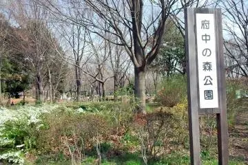 Fuchu no Mori Park, Fuchu City (Photo: <a href="https://commons.wikimedia.org/wiki/File:%EF%BC%AA%EF%BC%B2%E6%AD%A6%E8%94%B5%E9%87%8E%E7%B7%9A%E5%8C%97%E5%BA%9C%E4%B8%AD%E9%A7%85%E3%81%8B%E3%82%89%E9%99%B8%E8%BB%8D%E7%87%83%E6%96%99%E5%BB%A0%E3%81%BE%E3%81%A7%E3%81%AE%E5%B0%82%E7%94%A8%E7%B7%9A%E8%B7%A1%E3%82%92%E3%81%8A%E6%95%A3%E6%AD%A9%E3%81%97%E3%81%BE%E3%81%97%E3%81%9F%E3%80%82_%E7%8F%BE%E5%9C%A8%E3%80%81%E9%99%B8%E8%BB%8D%E7%87%83%E6%96%99%E5%BB%A0%E3%81%AE%E8%B7%A1%E3%81%AF%E5%BA%9C%E4%B8%AD%E3%81%AE%E6%A3%AE%E5%85%AC%E5%9C%92%E3%81%AB_-_panoramio.jpg" target="_blank" rel="noreferrer noopener nofollow">Japanese Railroad Cr…</a> / <a href="https://creativecommons.org/licenses/by/3.0/" target="_blank" rel="noreferrer noopener nofollow">CC BY 3.0</a>)