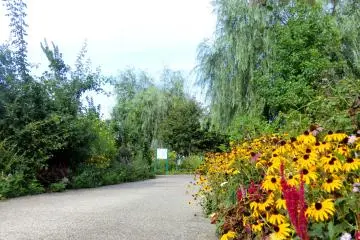 Plenty of color