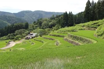 Senmaida rice fields at Kanzaiko