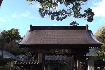 Gallery image