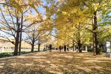Showa Memorial Park, Tachikawa City